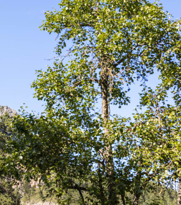 Klatrelejr Evolution med Céüse som mål