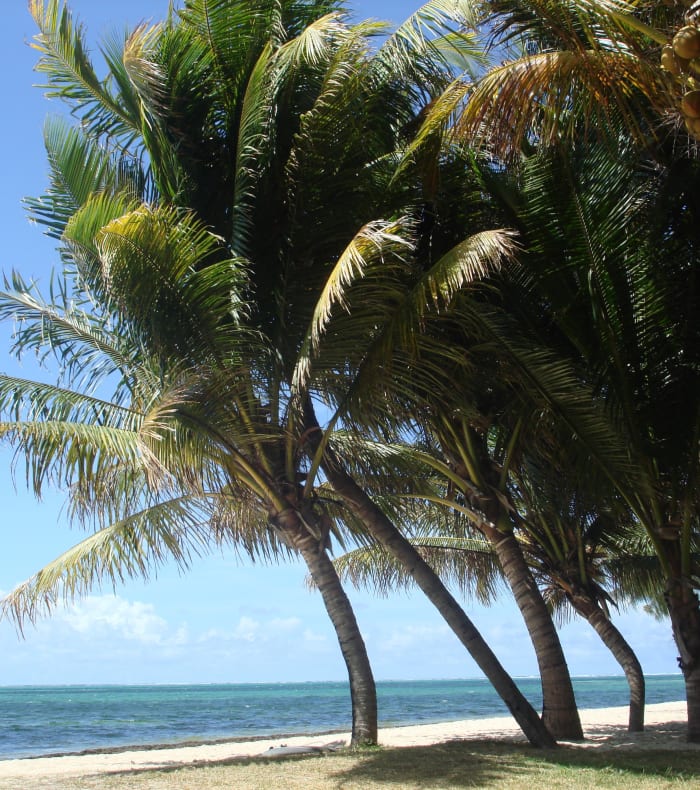 Canyoning à la Réunion