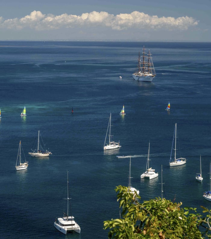 Catamaran / Découverte Saintoise 15 jours