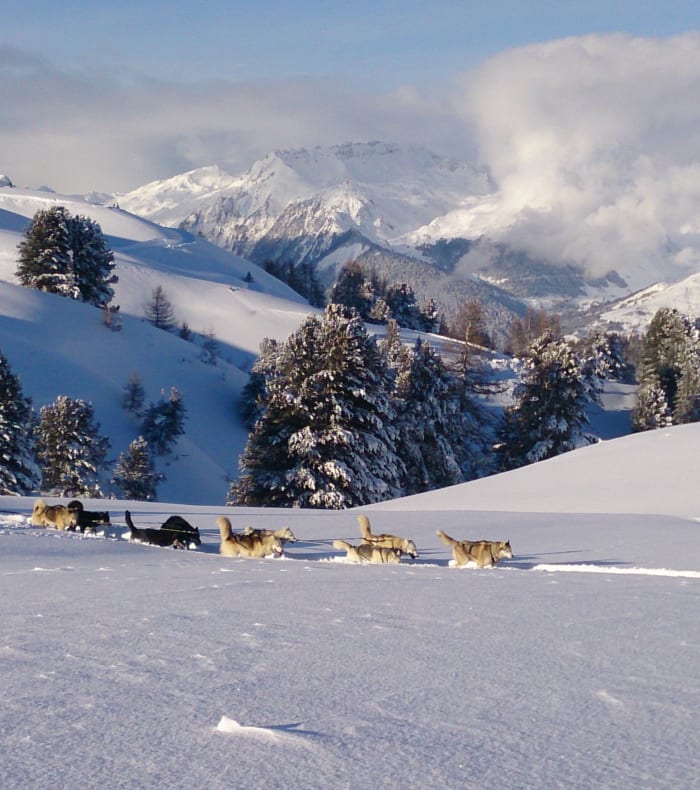 Cocktail neige en Savoie