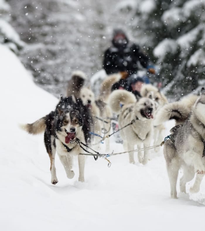 Cocktail sne i Savoie