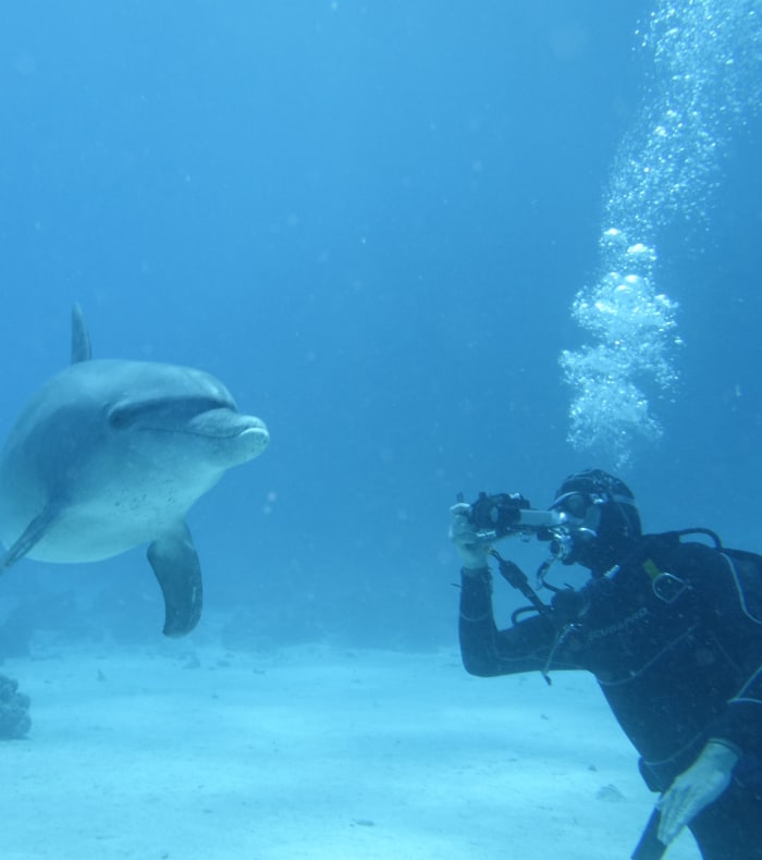 Dykkercruise Rødehavet BDE (Brothers - Deadalus - Elphinstone)