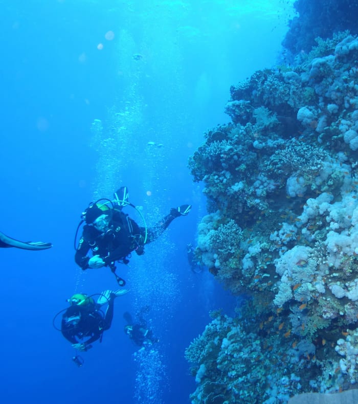Croisière plongée Mer Rouge Nord & Epaves