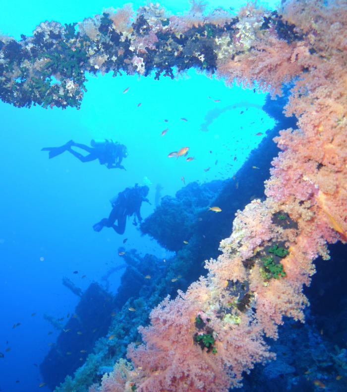 Croisière plongée Mer Rouge Nord & Epaves