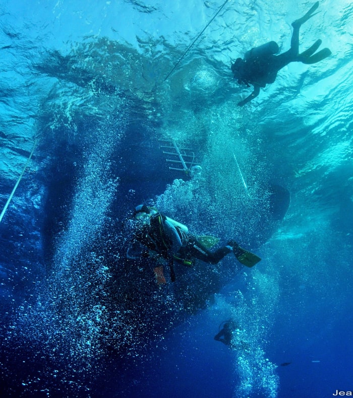 Croisière plongée Mer Rouge Sud