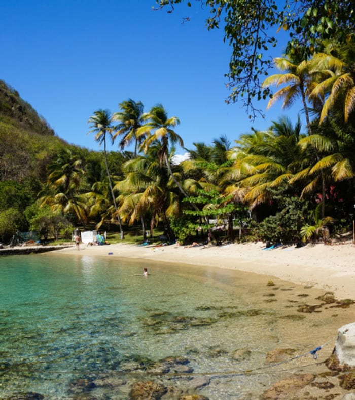 Sejltur Grenadinerne