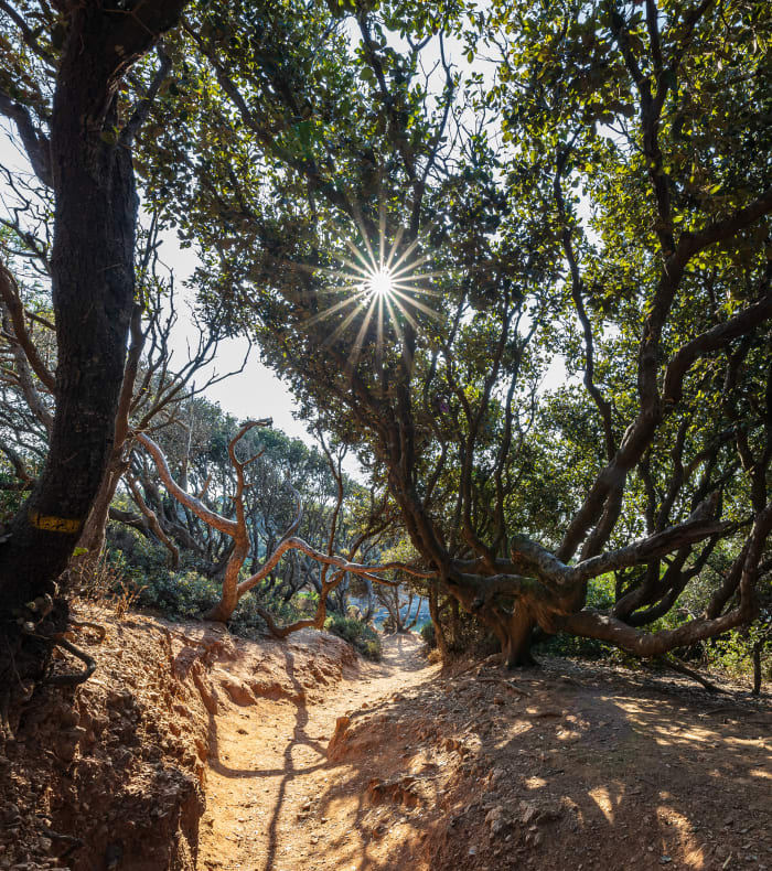 Croisière voilier Méditerranée 4 jours