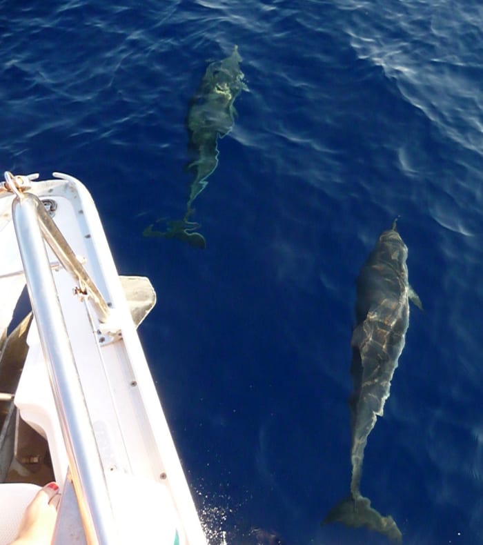 Croisière voilier mer Ionienne