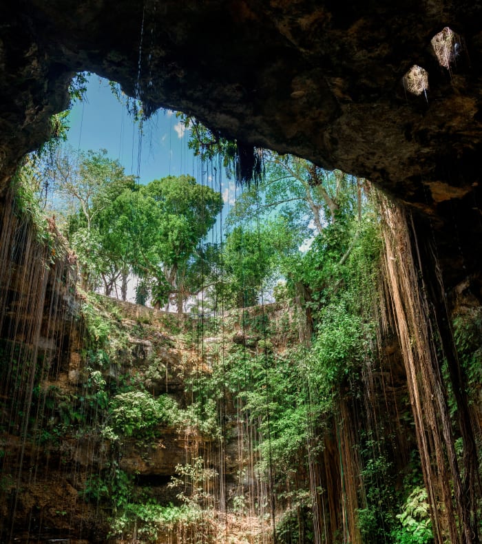 Découverte  Sport & Culture