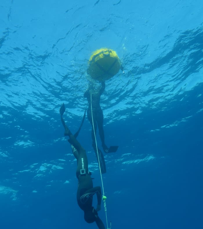 Découverte apnée 5 jours