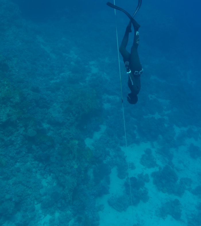 Découverte apnée 5 jours