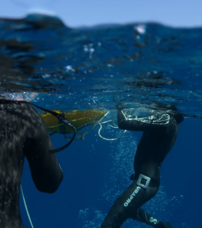 Dykkerkursus uden udstyr 5 dage