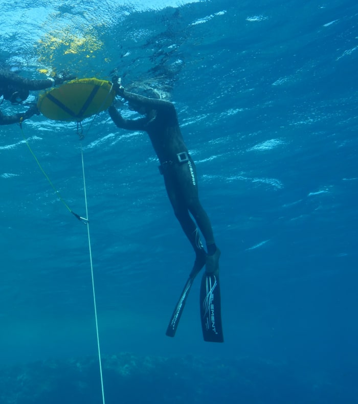 Découverte Apnée 8 jours