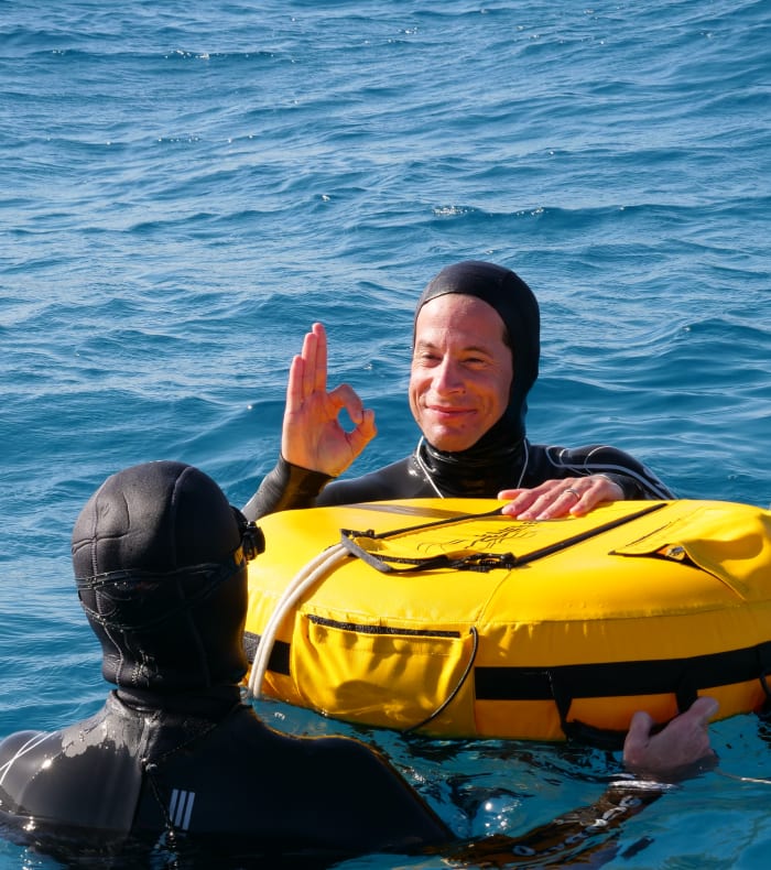 Opdag fridykning 8 dage