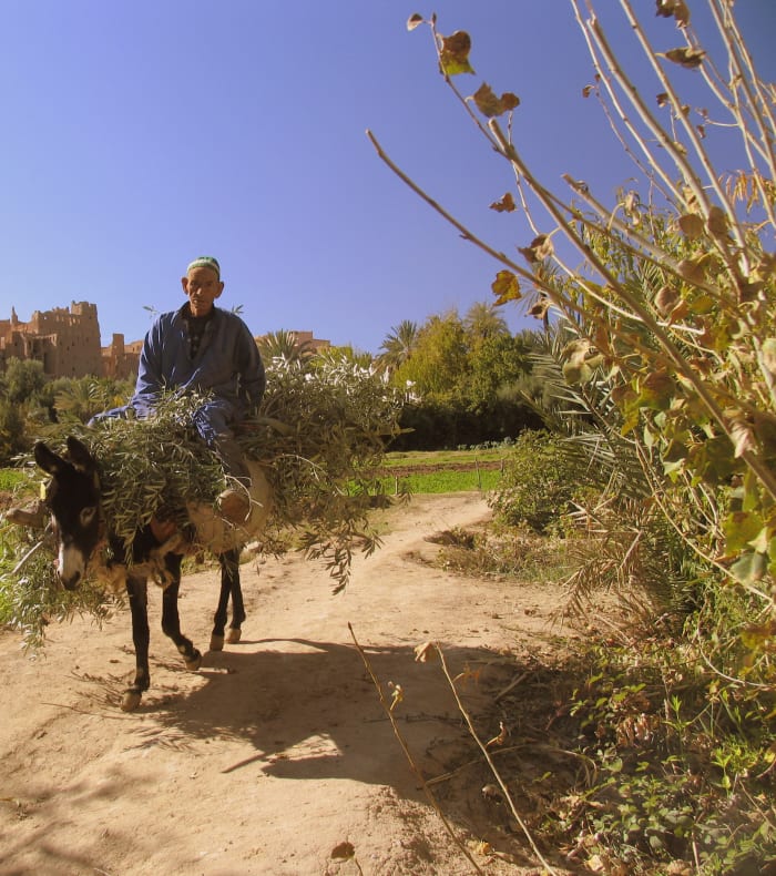 Découverte de l'Atlas