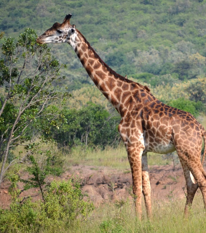 Découverte de la Namibie