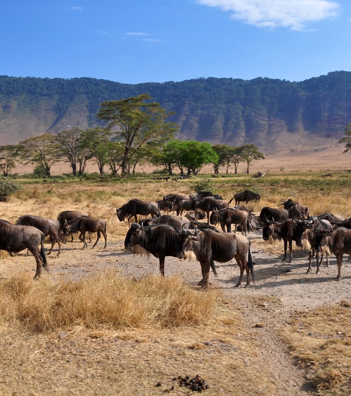 Découverte de la Namibie