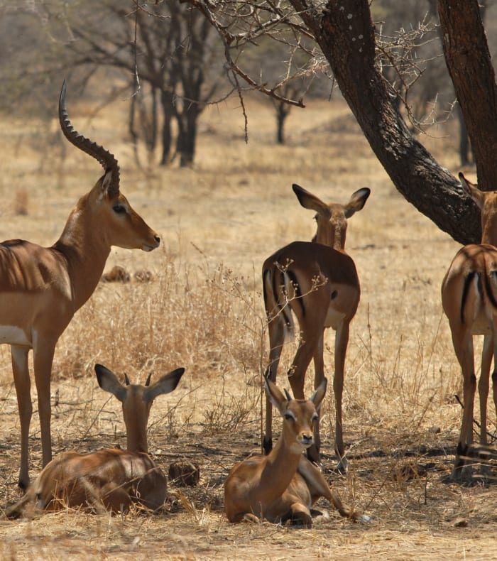 Découverte de la Namibie