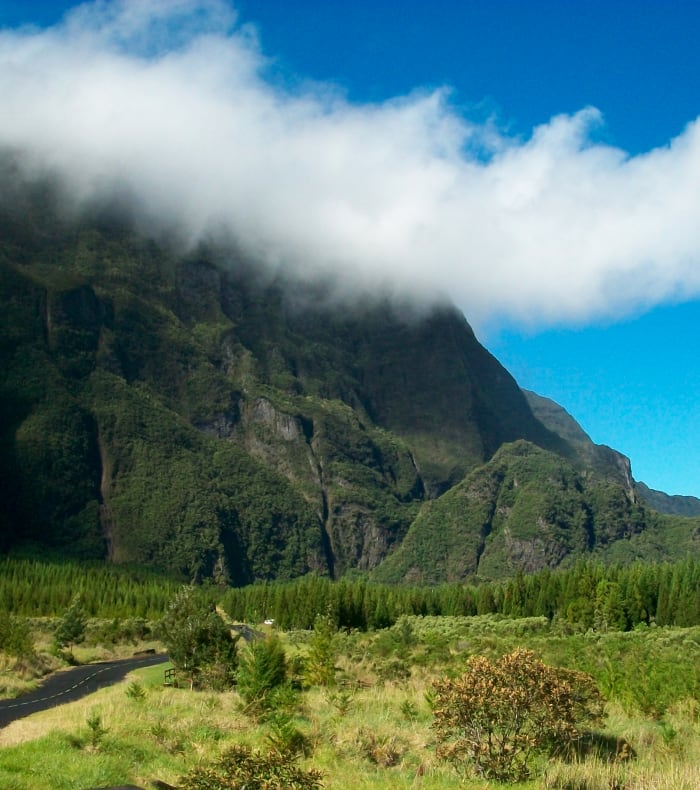 Découverte de la Réunion
