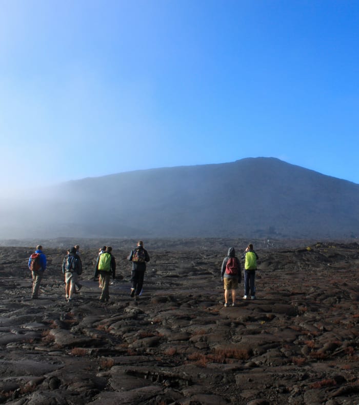 Découverte de la Réunion