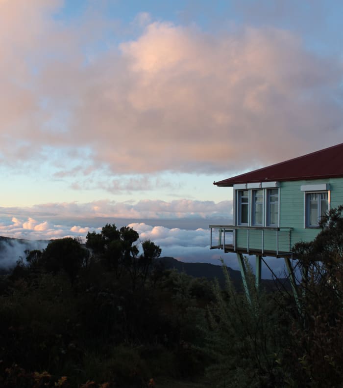 Découverte de la Réunion