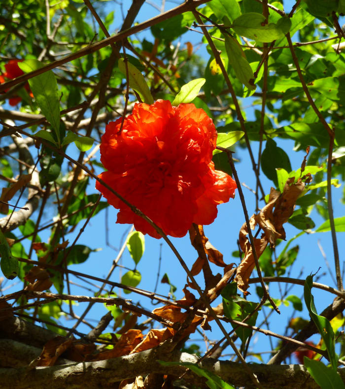Découverte de la Réunion