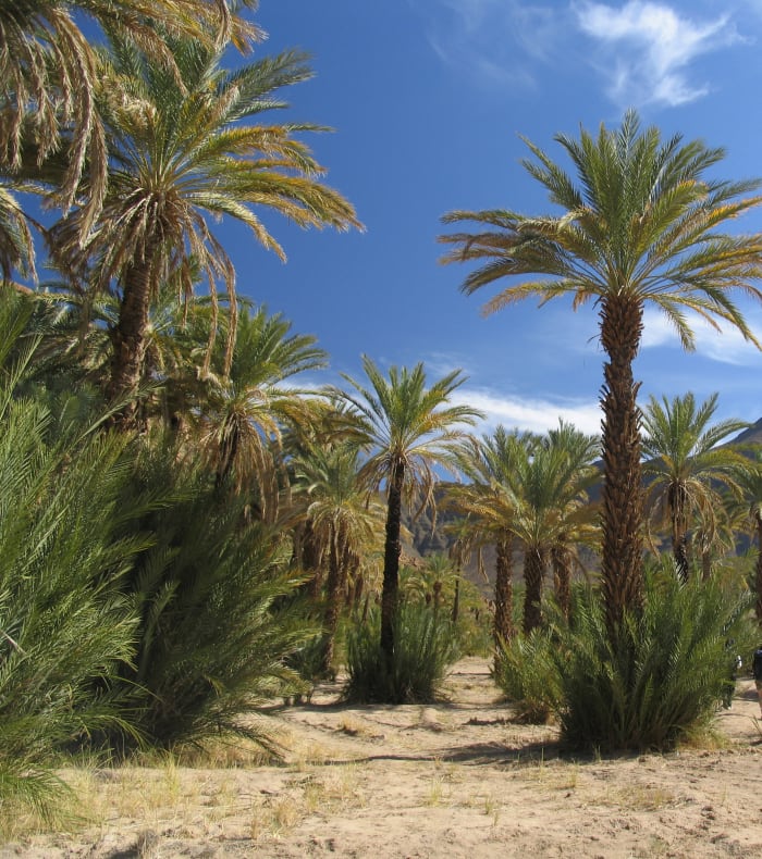 Découverte du grand sud