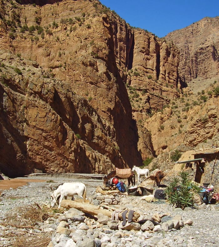 Découverte du grand sud