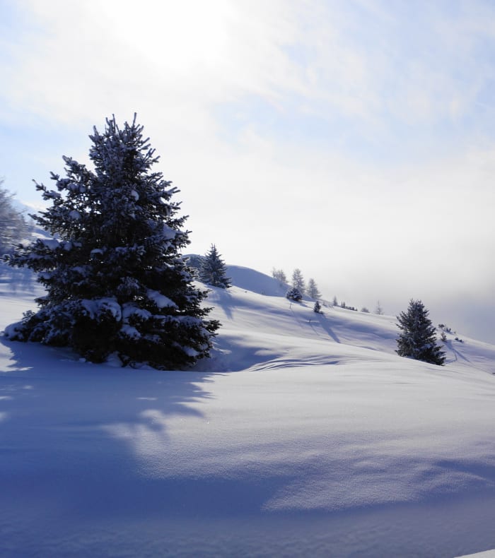 Découverte du ski hors-piste Mi-temps
