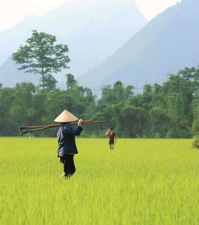 Opdag Vietnam - 15 nætter