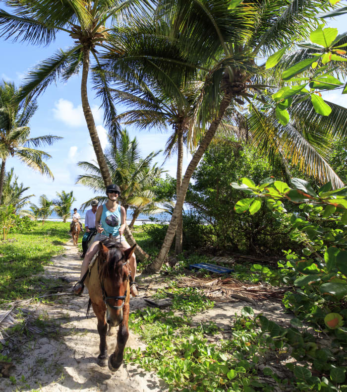 Découverte Martiniquaise 15 jours