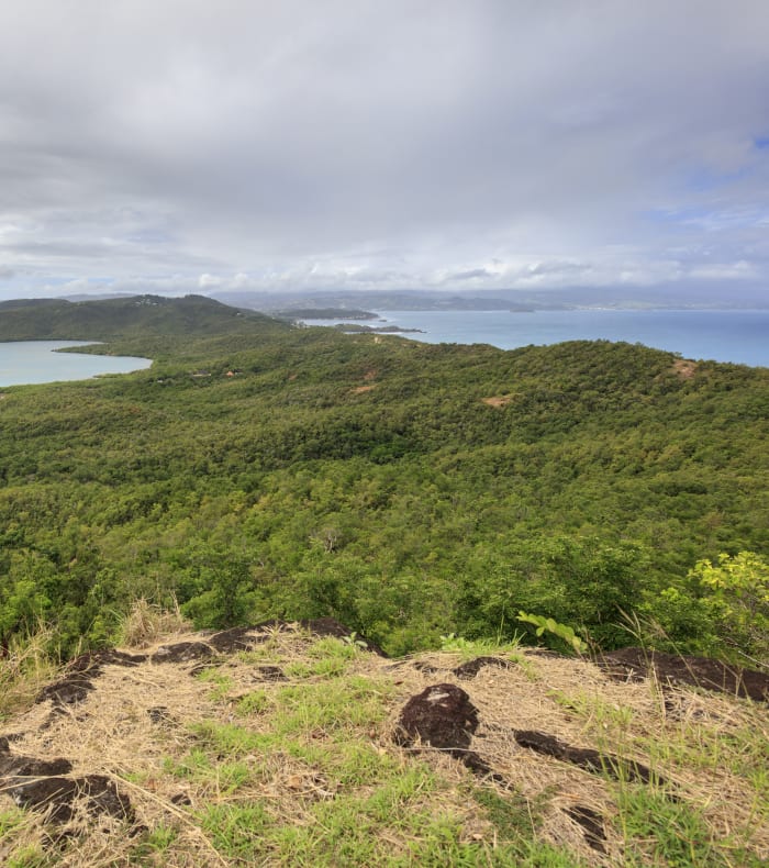 Découverte Martiniquaise 15 jours