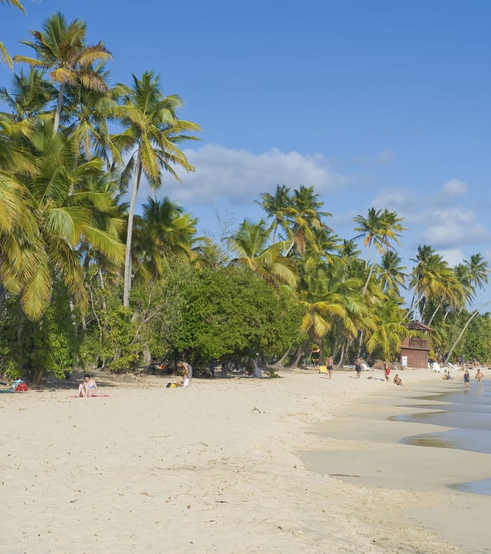 Opdagelse af Martinique 15 dage