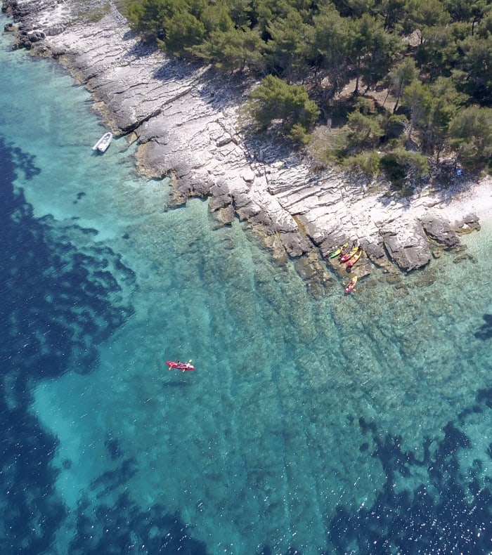 Découverte Sport & Culture