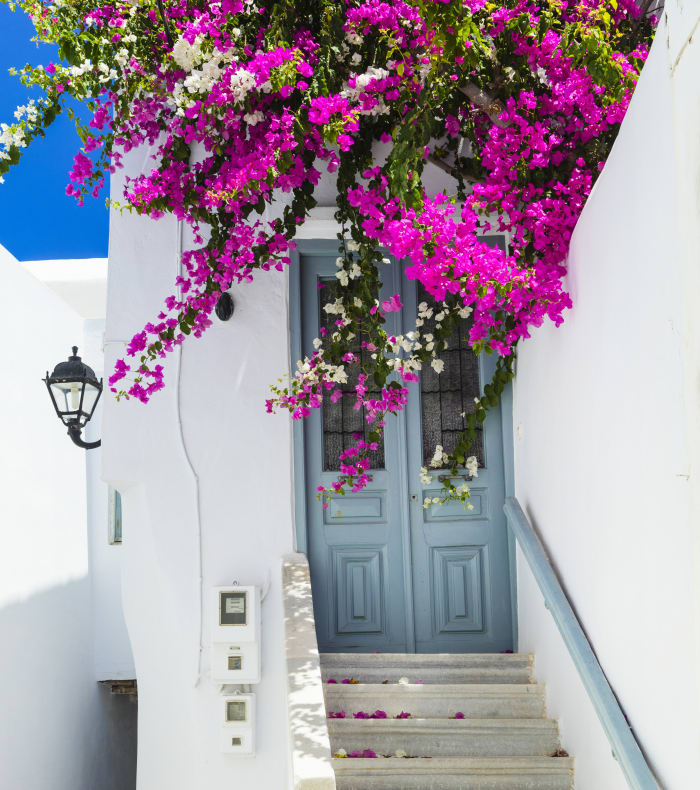 Découverte Sport & Culture