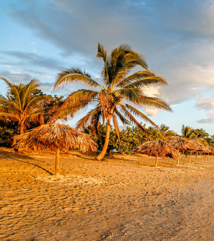 Découverte Sport & Culture