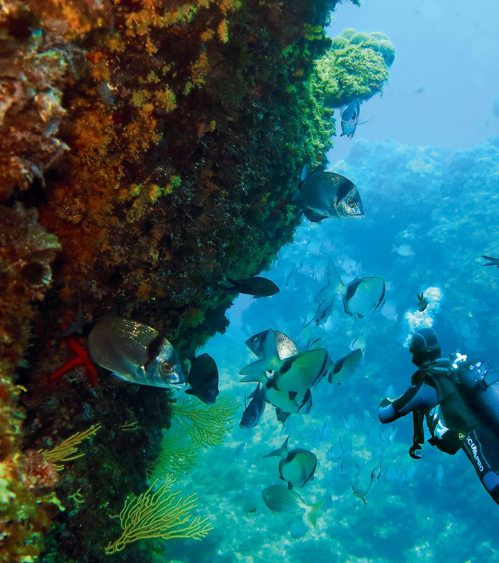 Découverte Sport & Culture