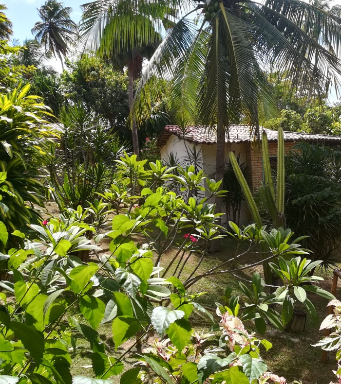 Découverte Sport & Culture