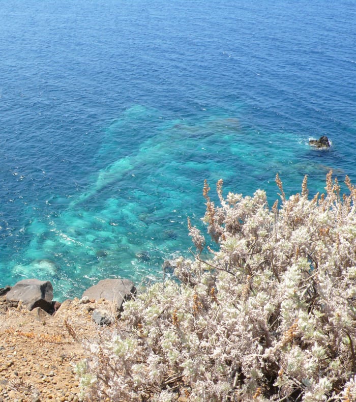 Découverte Sport & Culture