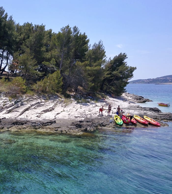 Découverte Sport & Culture