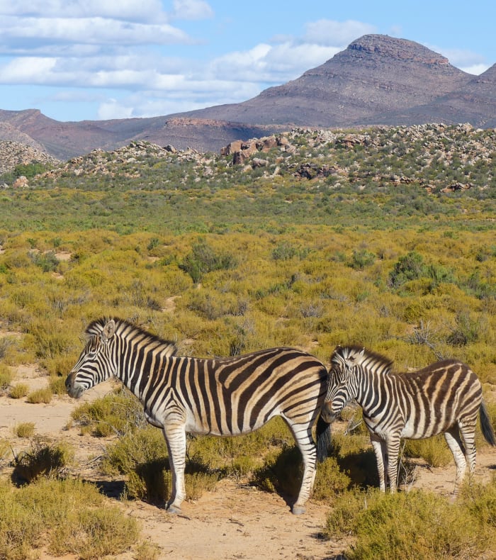 Découverte Sport & Culture