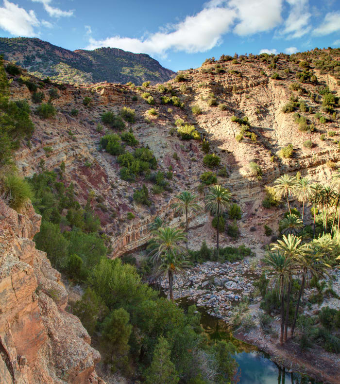 Découverte Sport & Culture