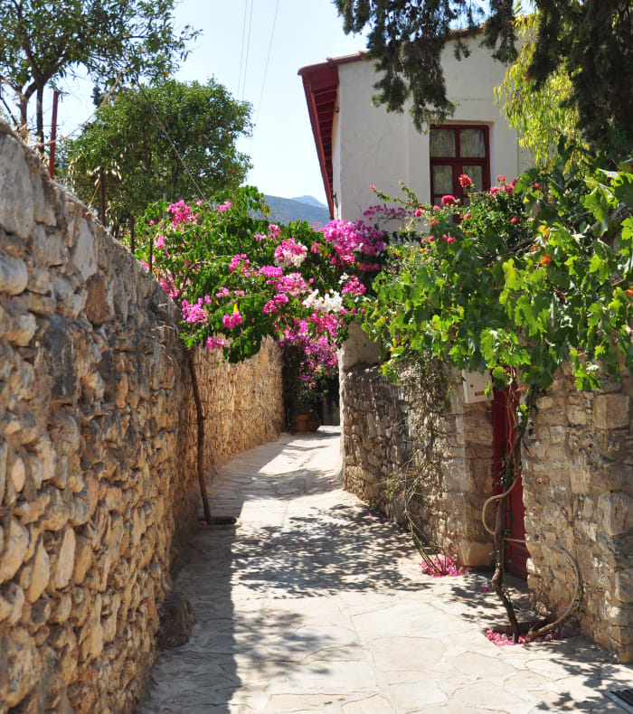 Découverte Sport & Culture