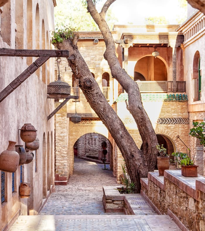 Découverte Sport & Culture