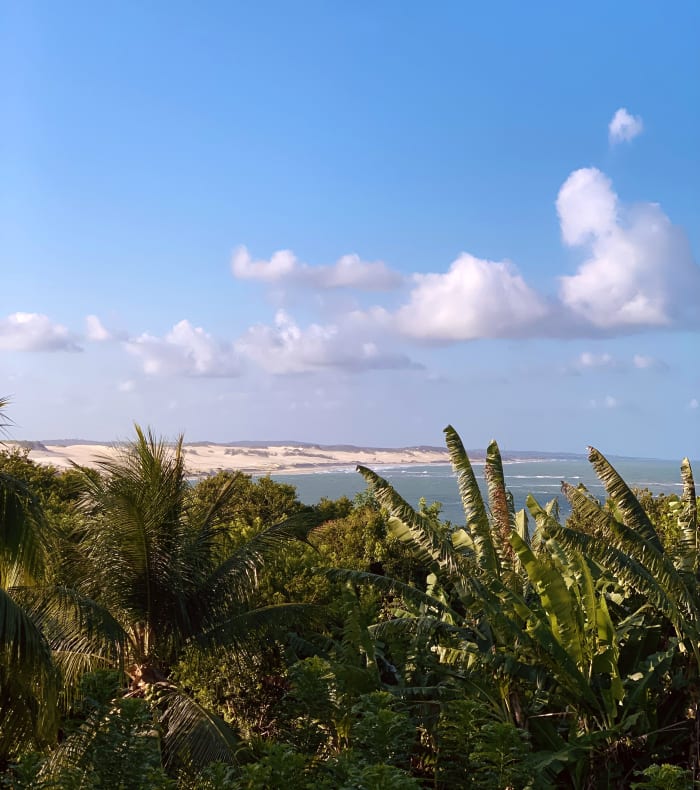 Découverte Sport & Culture