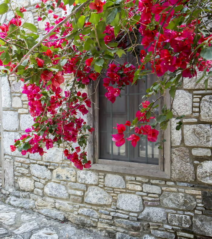 Découverte Sport & Culture