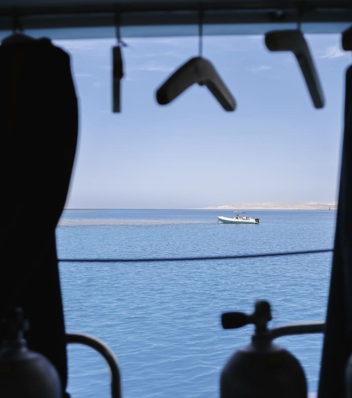 Découverte Sport & Culture