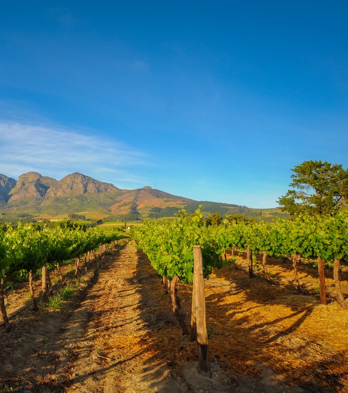 Découverte Sport & Culture