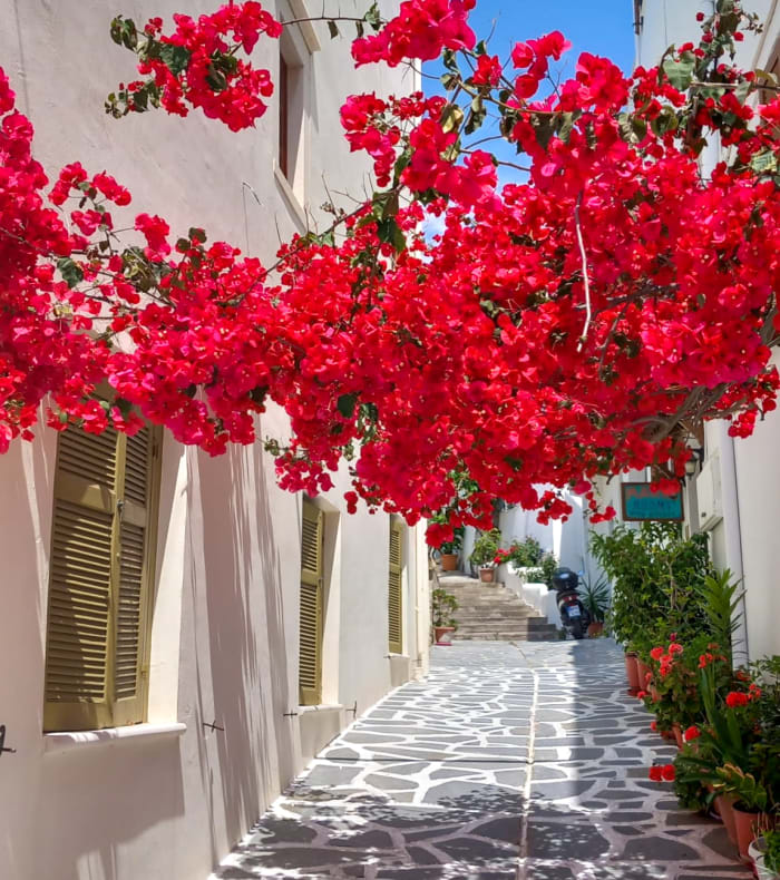 Découverte Sport & Culture