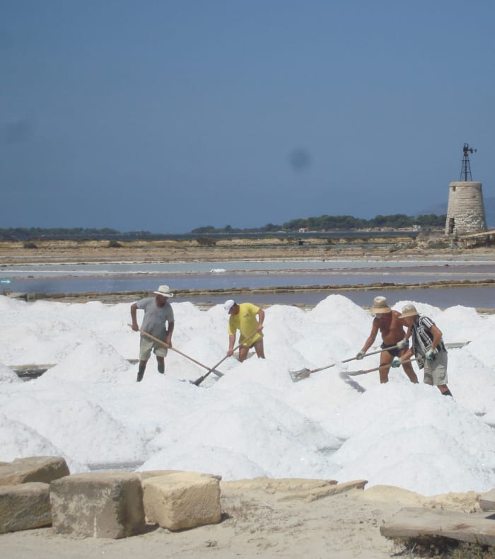 Découverte Sport & Culture